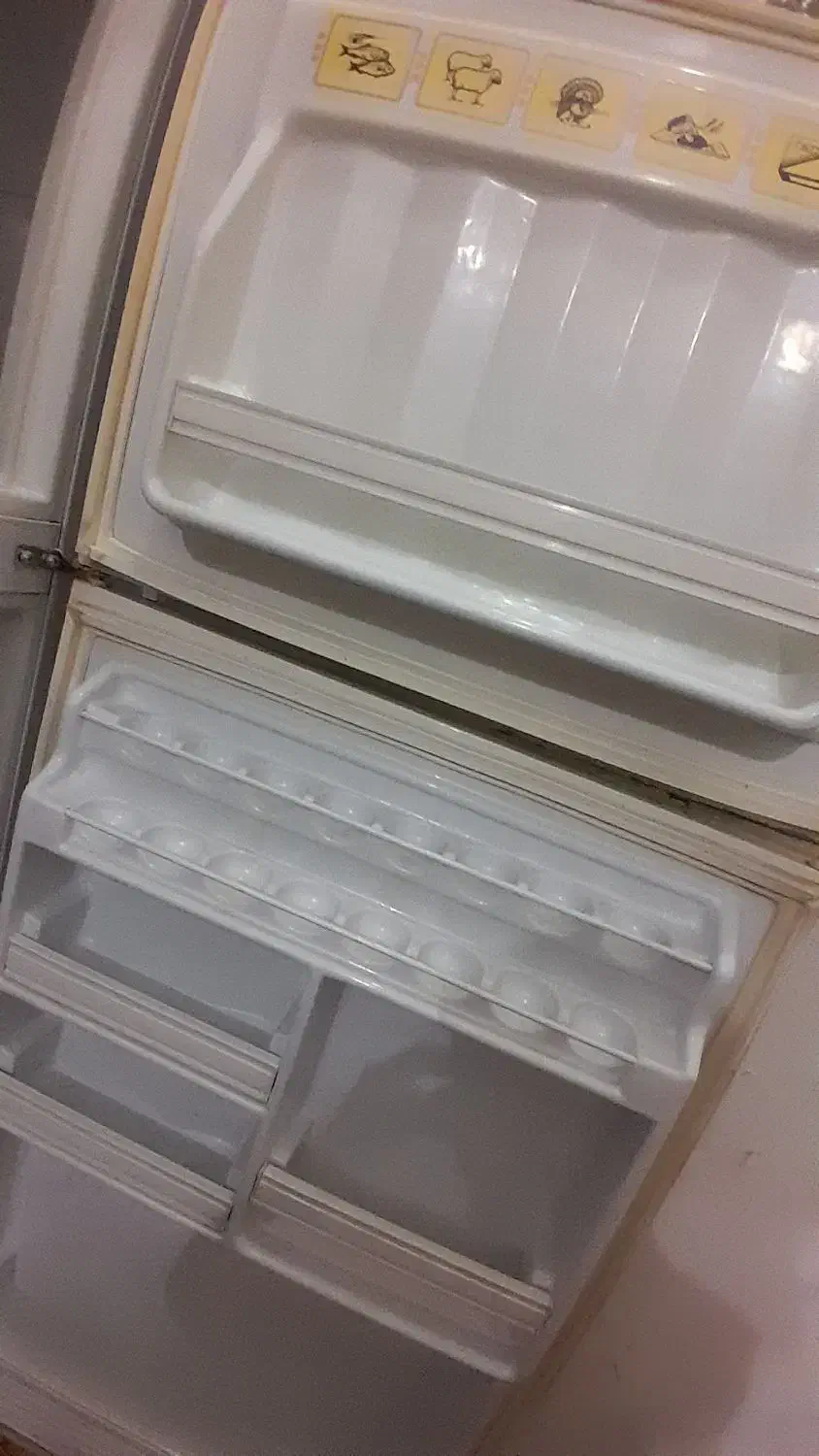 یخچال و فریزر امرسان|یخچال و فریزر|طرقبه, |دیوار