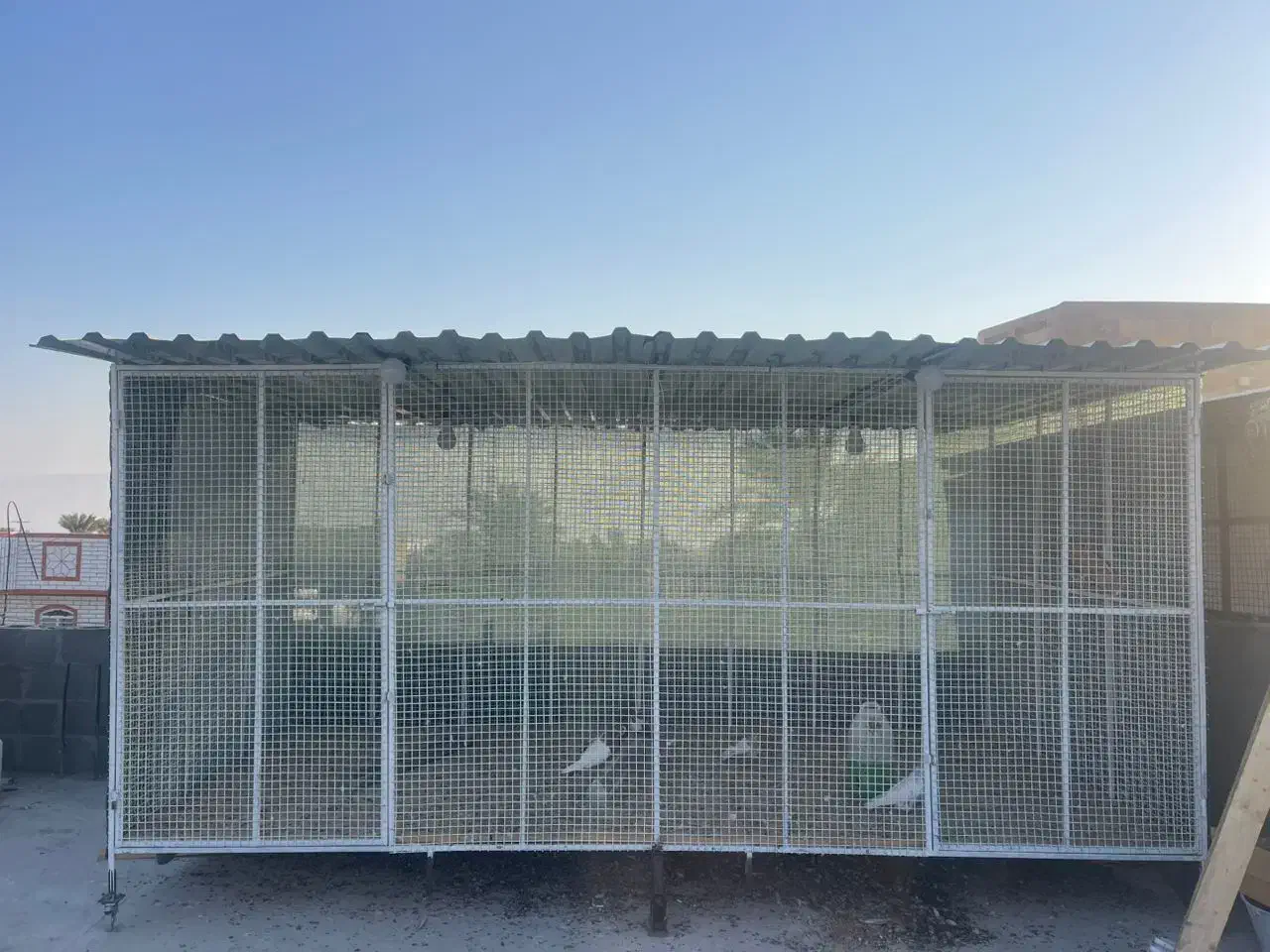 قفس پرنده|حیوانات مزرعه|گله دار, |دیوار