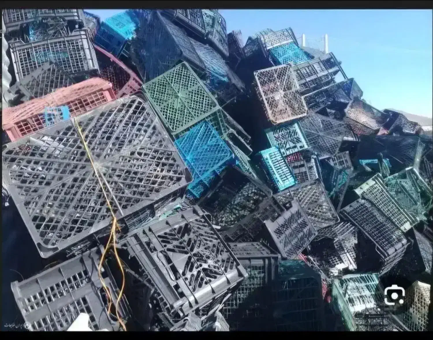 سبد|عمدهفروشی|لالی, |دیوار