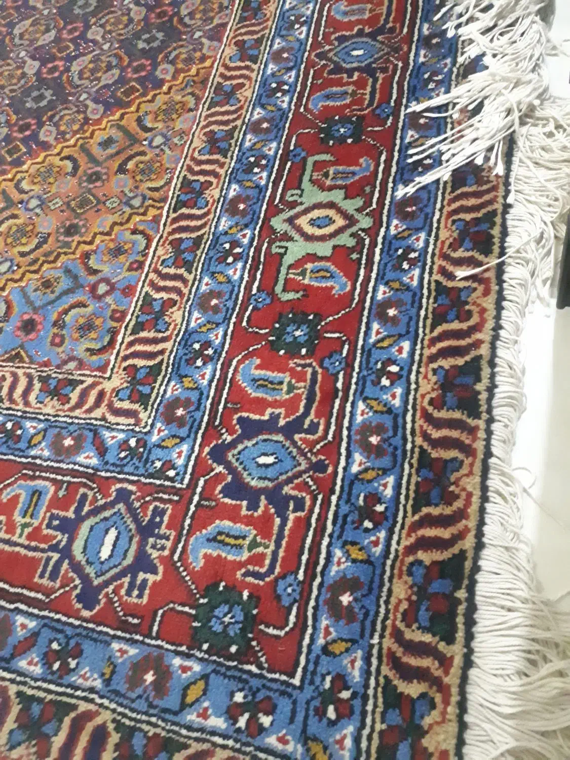 فرش دستباف ۶ متری|فرش|رشت, حومه رشت|دیوار