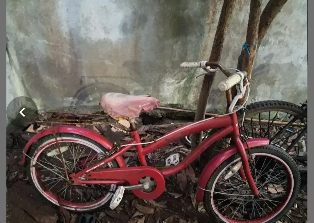 دوچرخه بچه گانه سایز ۱۲-۱۶|دوچرخه، اسکیت، اسکوتر|بندر انزلی, سوسر|دیوار