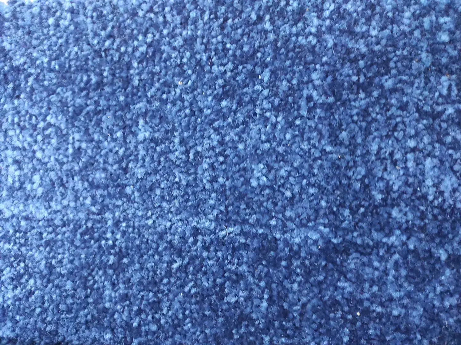 موکت پالاز|موکت|بندر گناوه, |دیوار