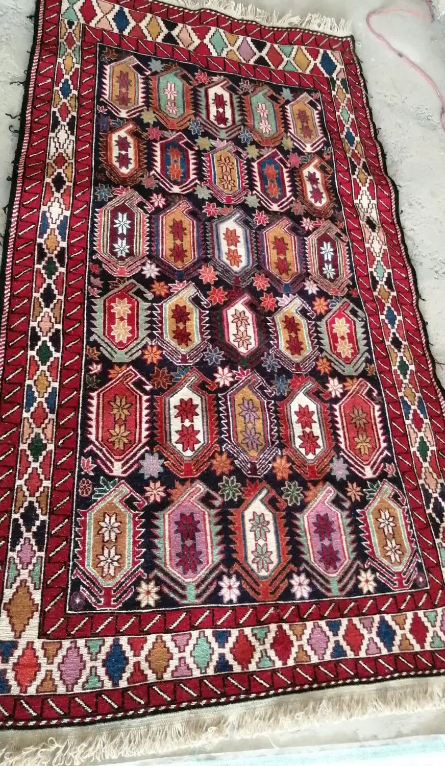 ورنی تمام پشمی دستبافت|فرش|تبریز, |دیوار