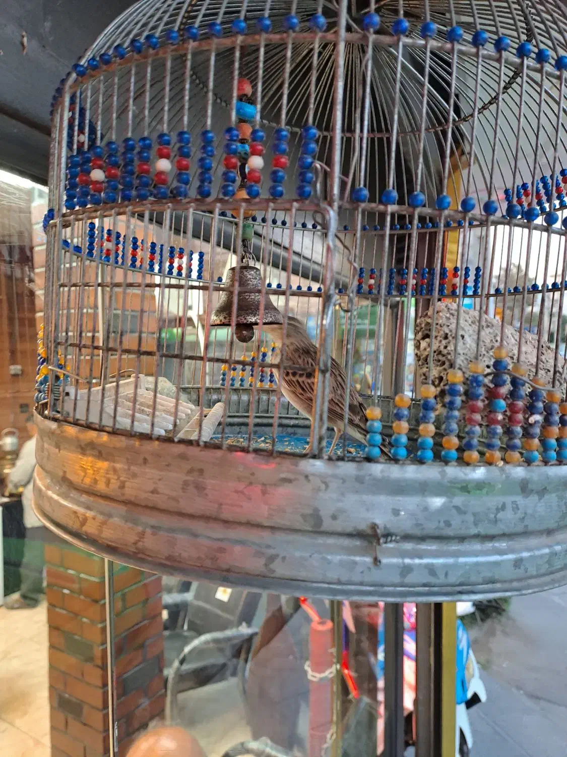 سره خاکی دهن هزار|پرنده|قدس, شهر‌قدس|دیوار