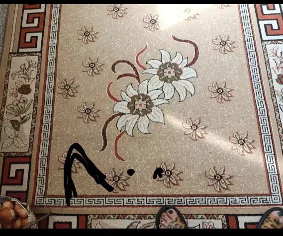 پتینه۶متری و کودک|فرش|مشهد, موسوی قوچانی|دیوار