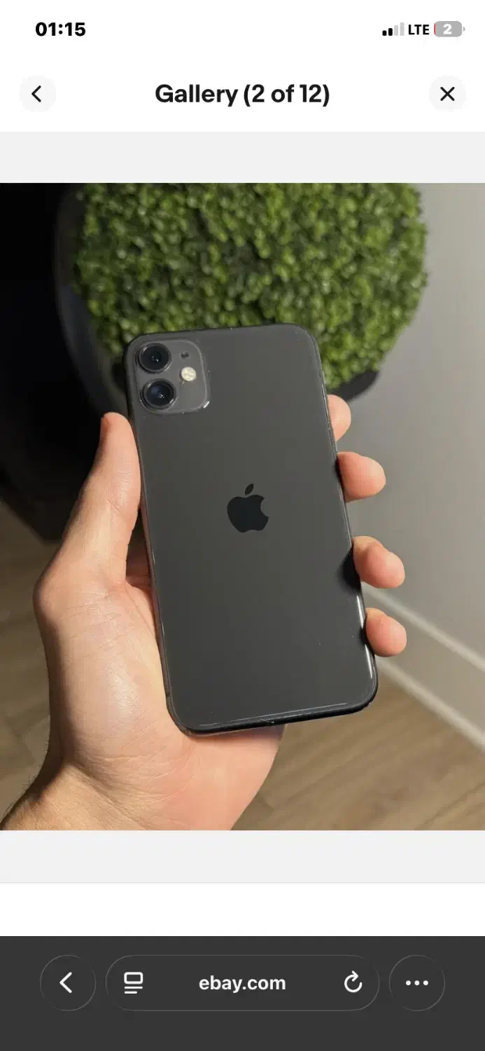 iPhone 11|موبایل|نوشهر, |دیوار