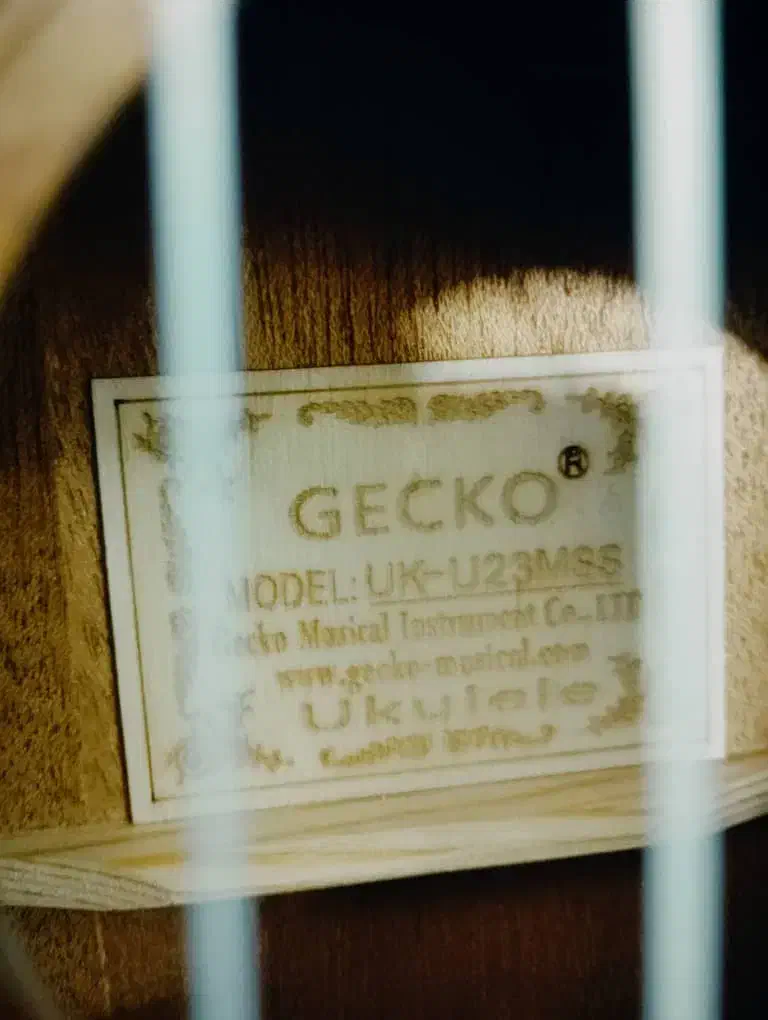 اوکولهله برند GECKO|گیتار، بیس، امپلیفایر|شیراز, گلکوب|دیوار