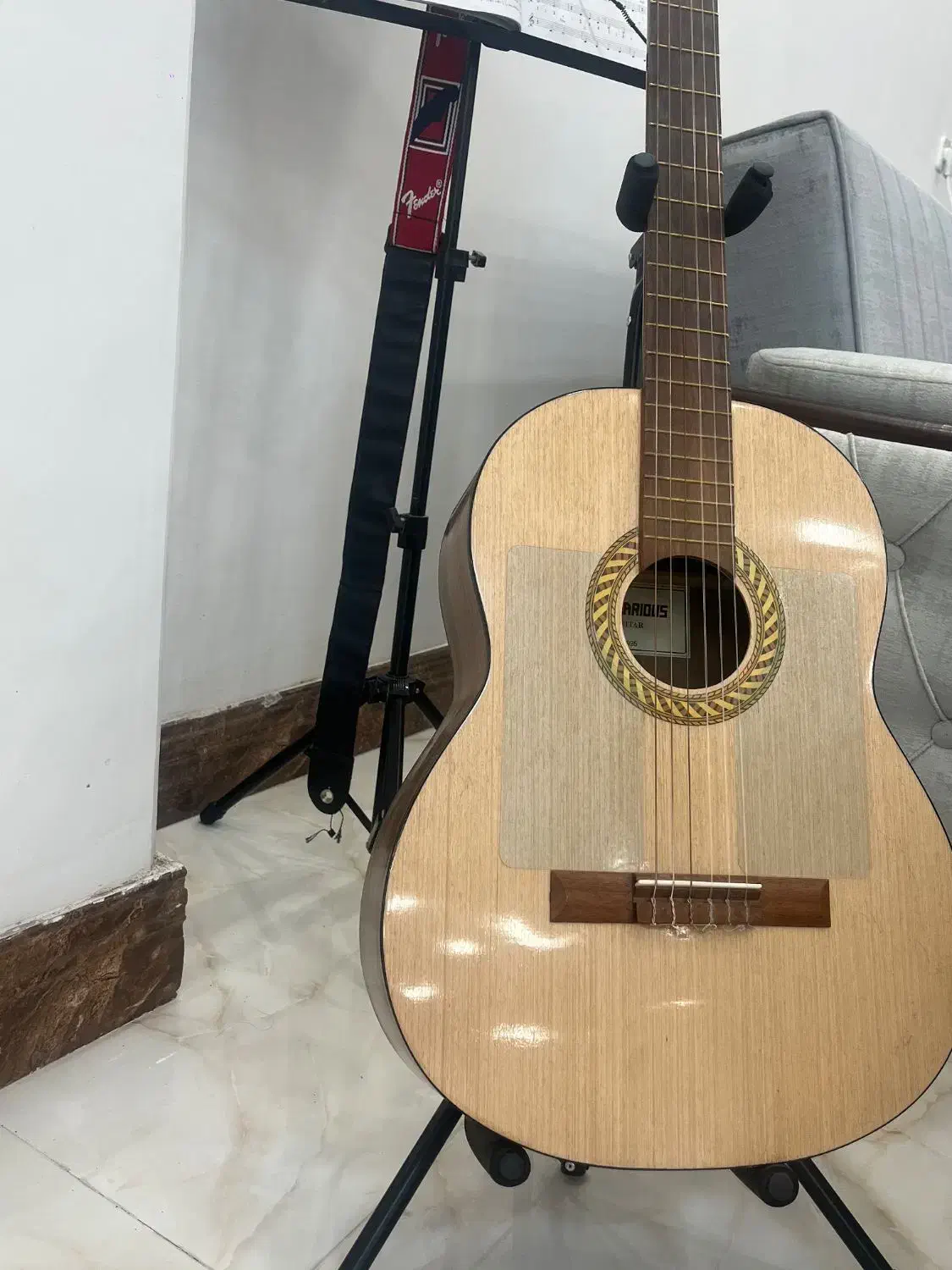 گیتار کلاسیک سلاریوس|گیتار، بیس، امپلیفایر|کرمان, |دیوار