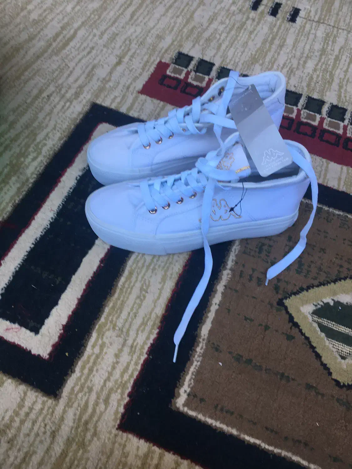 کفش المانی نونو|کیف، کفش، کمربند|قم, باجک یک|دیوار