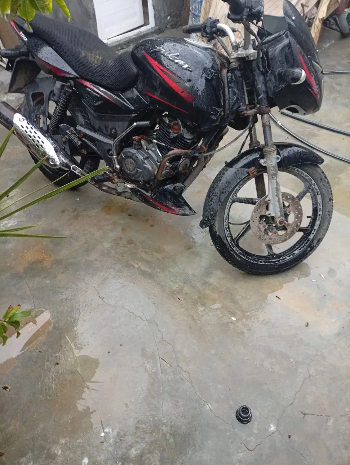 150باجاج خصبی|موتورسیکلت|قشم, |دیوار