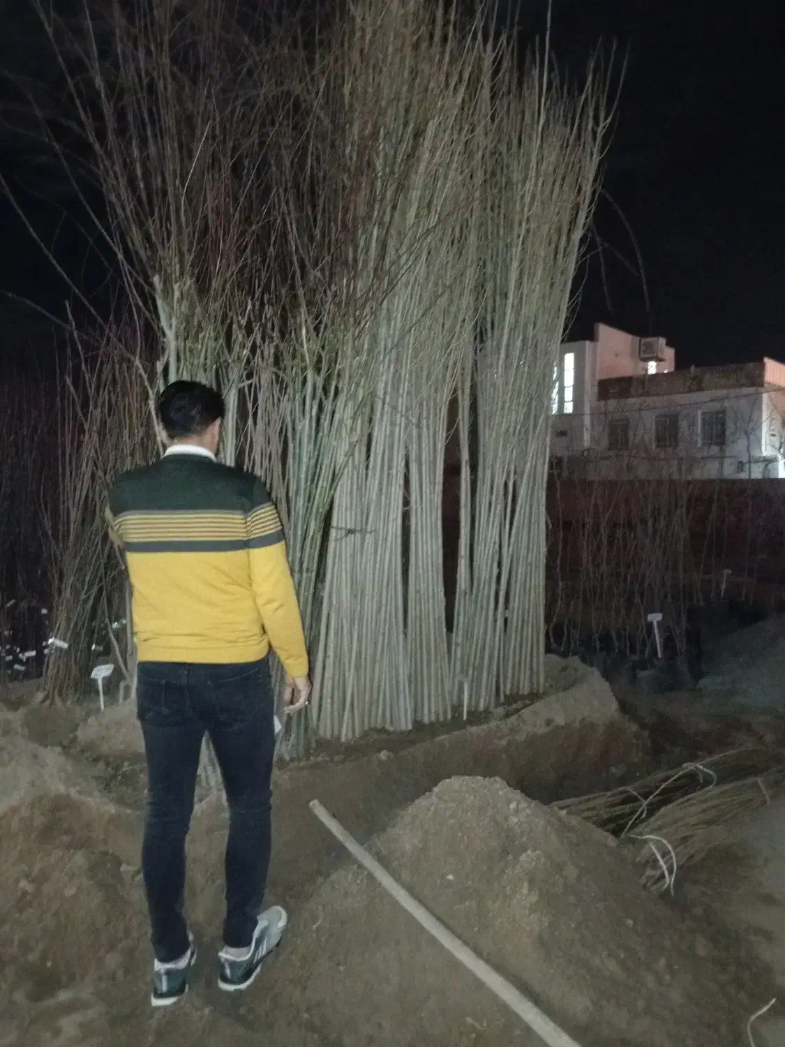 مهندسی و مشاوره باغ هرس کودهی سم درختکاری گل کاری|خدمات باغبانی و درختکاری|کازرون, |دیوار