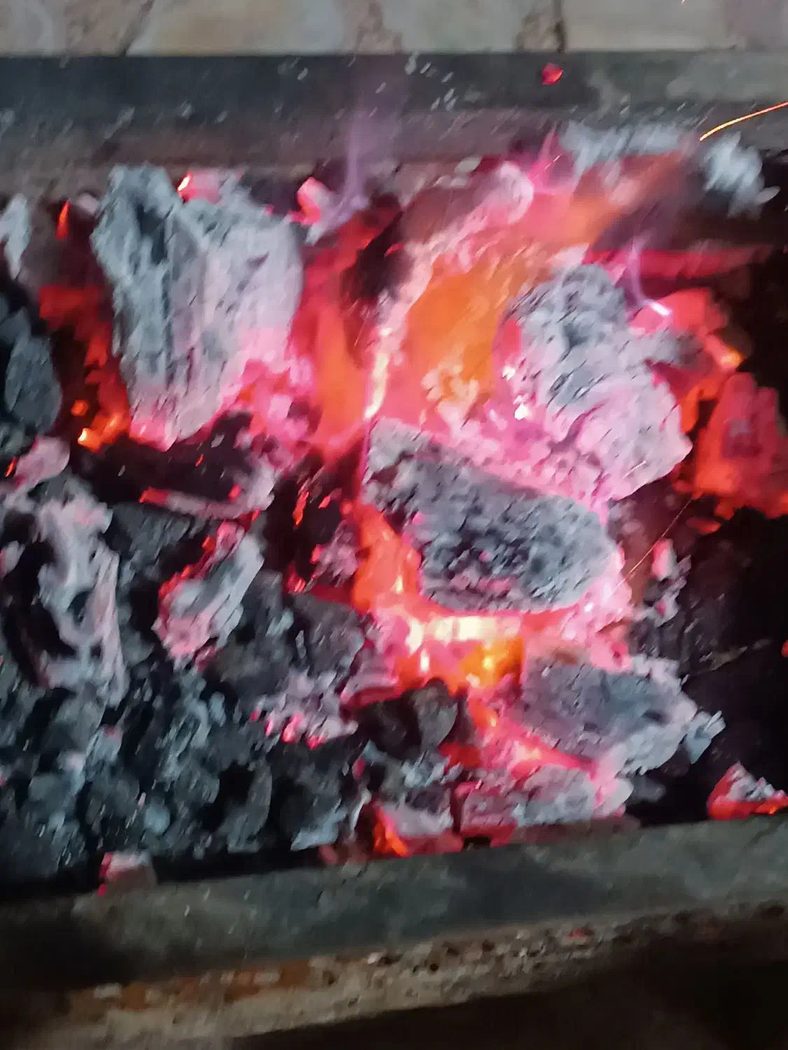 زغال کبابی|عمده‌فروشی|شیراز, زیباشهر|دیوار