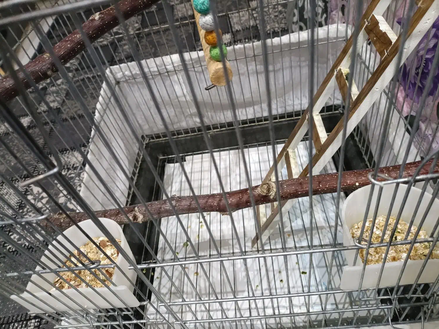 قفس بزرگ|لوازم جانبی حیوانات|تهران, تولید دارو|دیوار