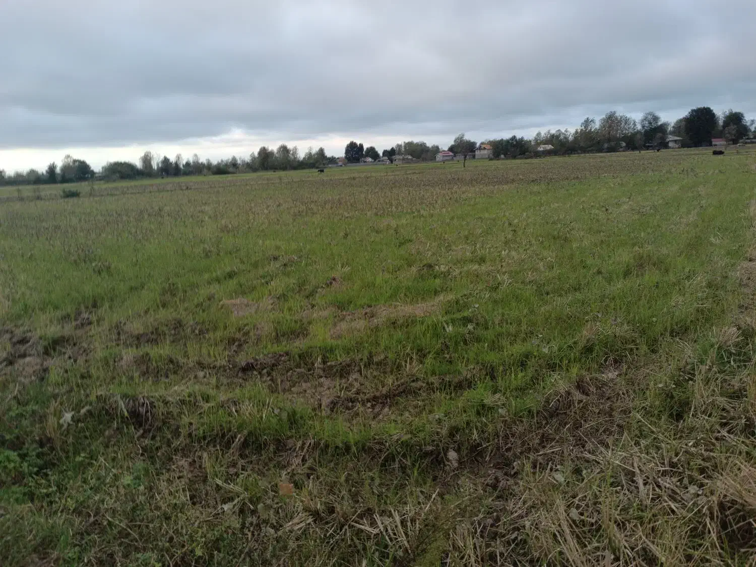 زمین کشاورزی|فروش دفتر صنعتی، کشاورزی، تجاری|خمام, |دیوار