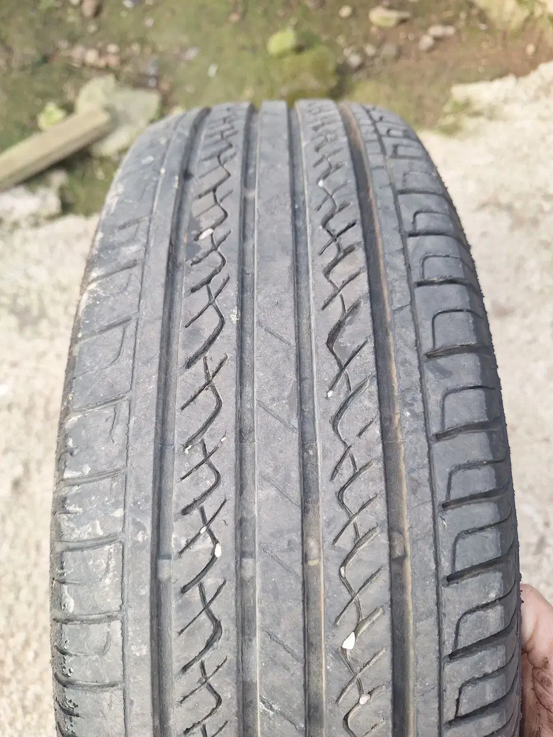 لاستیک ۱۸۵/۱۴|قطعات یدکی و لوازم جانبی|فومن, |دیوار