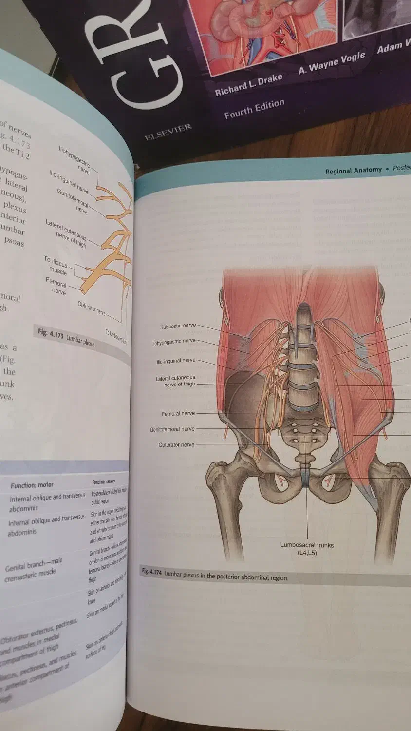 کتاب گری آناتومی برای دانشجویان|کتاب و مجله آموزشی|قم, صفاشهر|دیوار