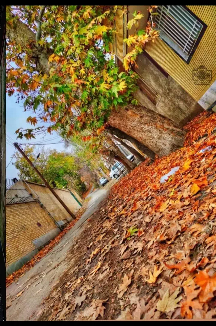 زمین شهرنیاسرکاشان/دوبر/ششدانگ پروانه ساخت/240 متر|فروش زمین و ملک کلنگی|کاشان, امیرکبیر|دیوار