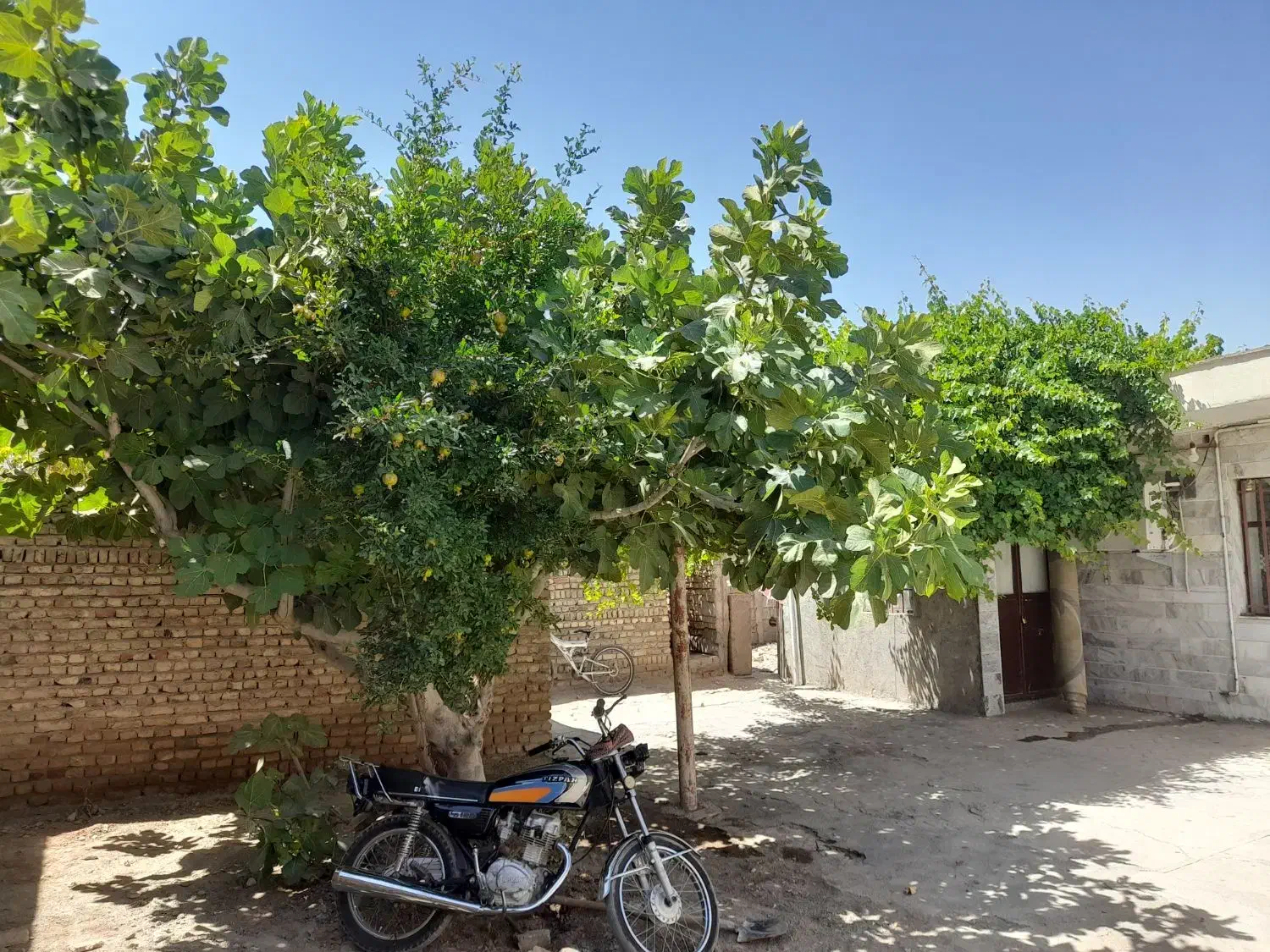 خانه روستایی|فروش خانه و ویلا|بشاریات, |دیوار