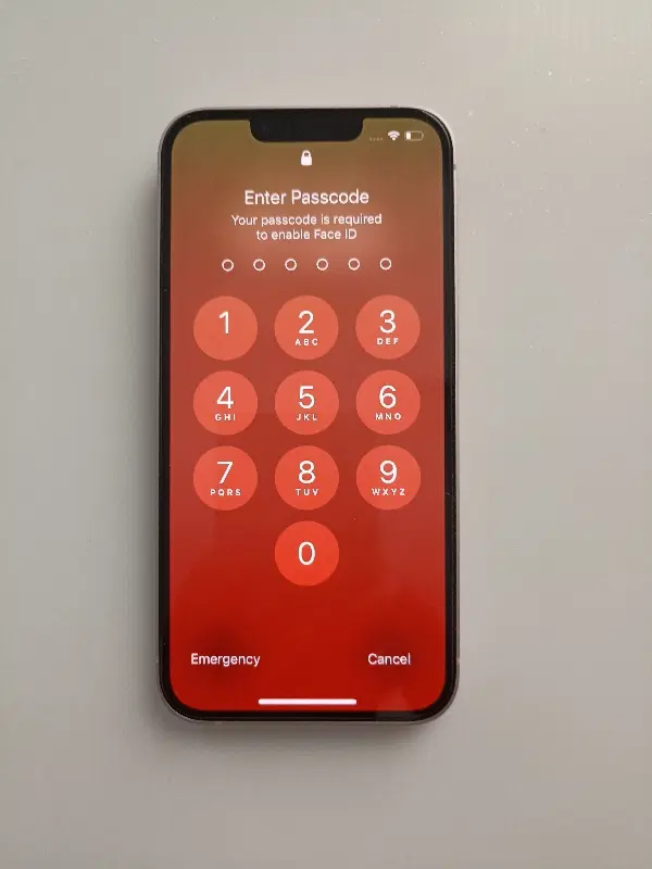 Iphone 13 256|موبایل|تهران, سوهانک|دیوار