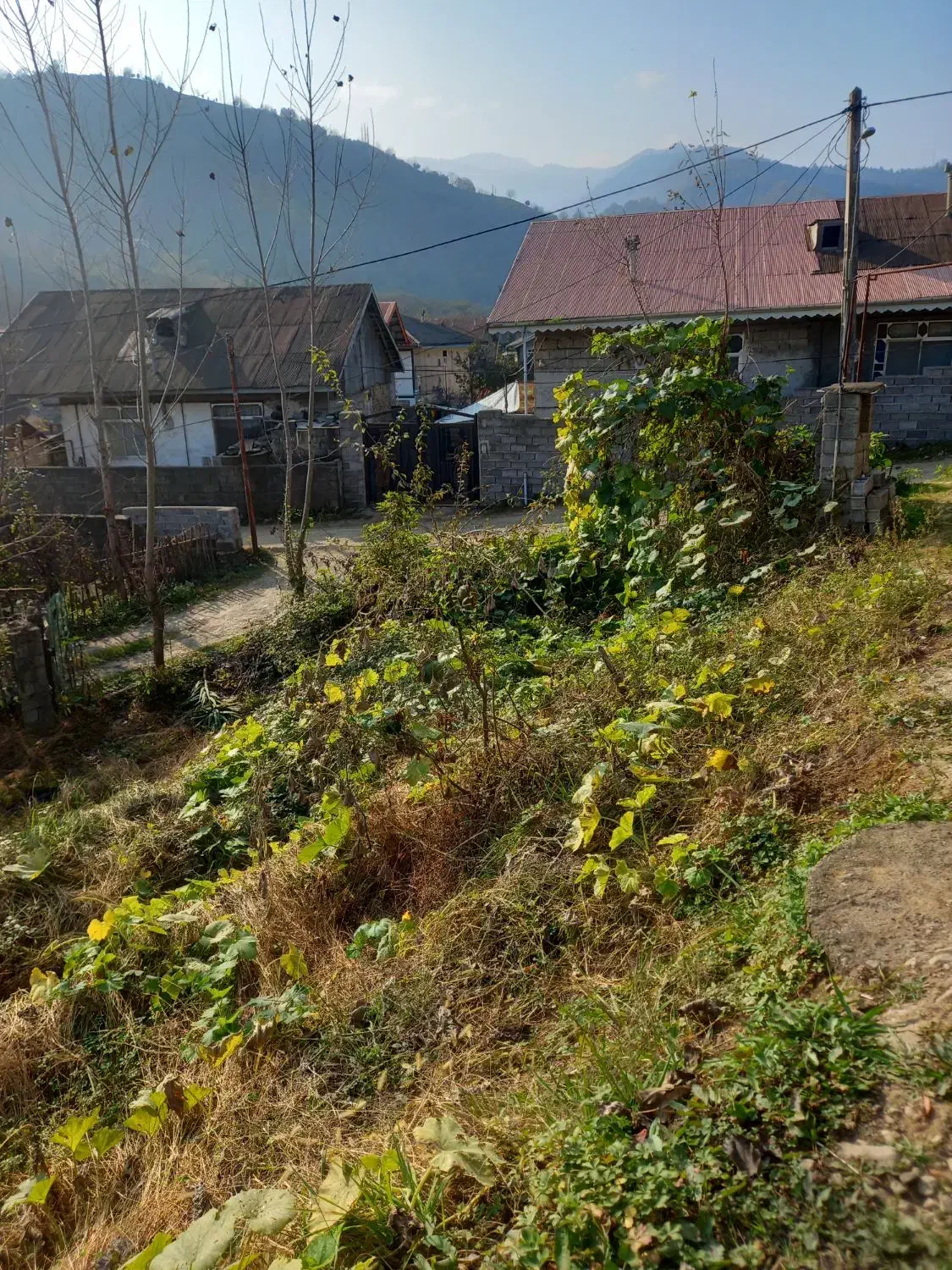 فروش زمین|فروش زمین و ملک کلنگی|اطاقور, |دیوار