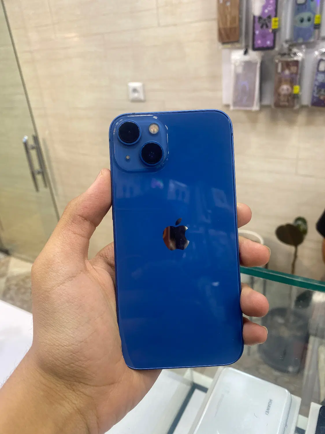 Iphone13|موبایل|یزد, |دیوار