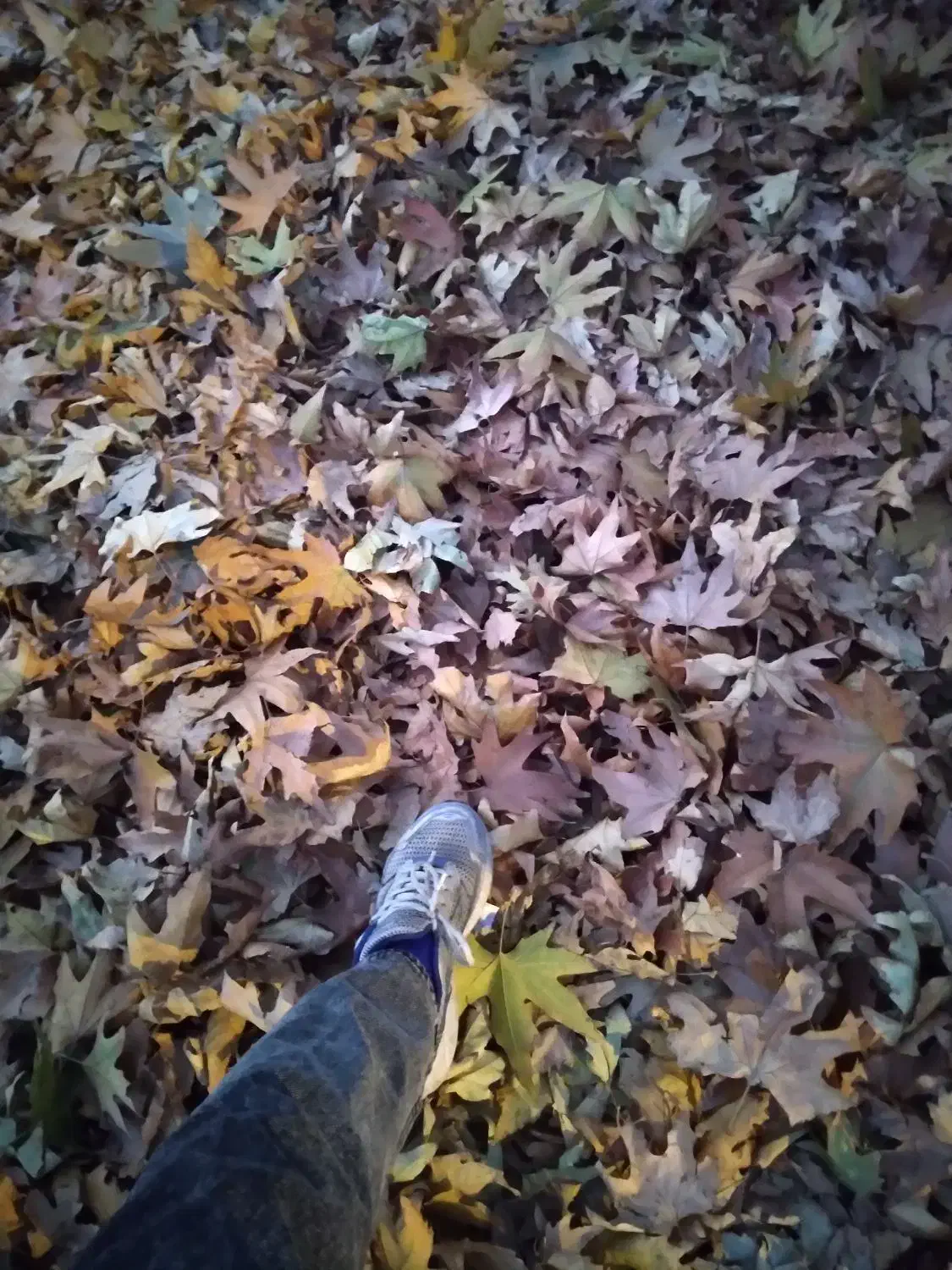 راهنمایی|فعالیت داوطلبانه|نیشابور, شهرک اندیشه|دیوار