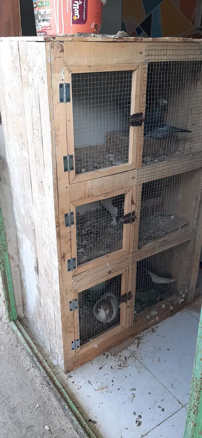 قفس ۳ طبقه تمام چوبی فروش و معاملع|لوازم جانبی حیوانات|چابهار, |دیوار