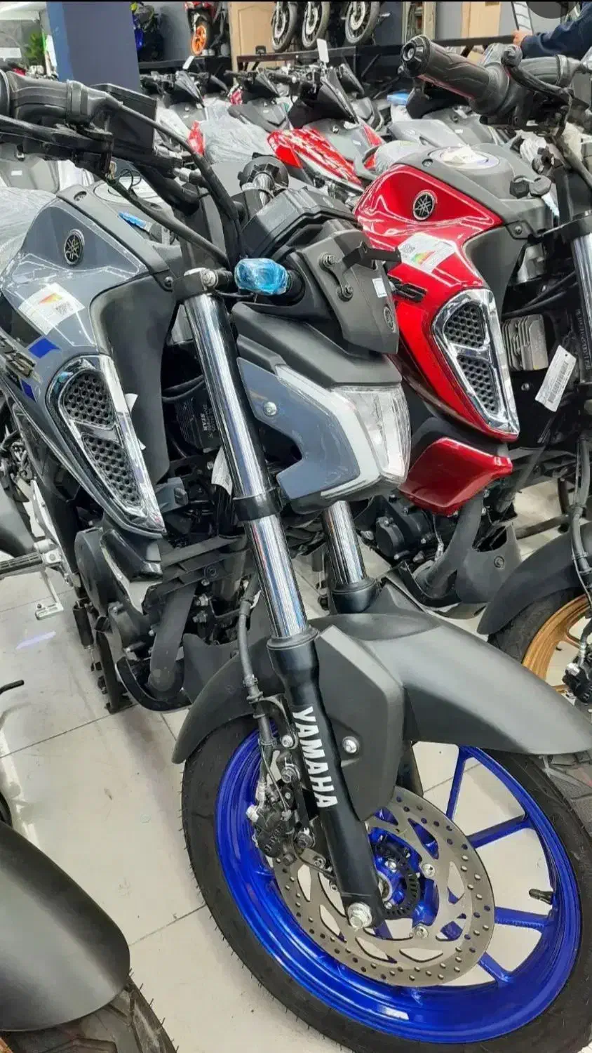 Yamaha FZ150 یاماها اف زد ۱۵۰ نقد و اقساط|موتورسیکلت|تهران, بهار|دیوار