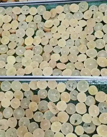 دستگاه میوه خشک|ماشینآلات صنعتی|زنجان, |دیوار