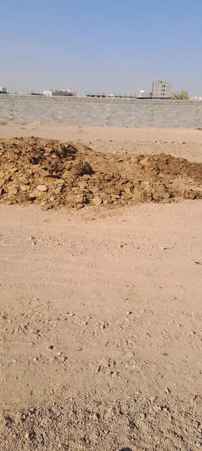 پگر گوسفندی|خدمات باغبانی و درختکاری|ساوه, |دیوار