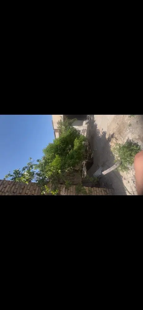 تصویر 3