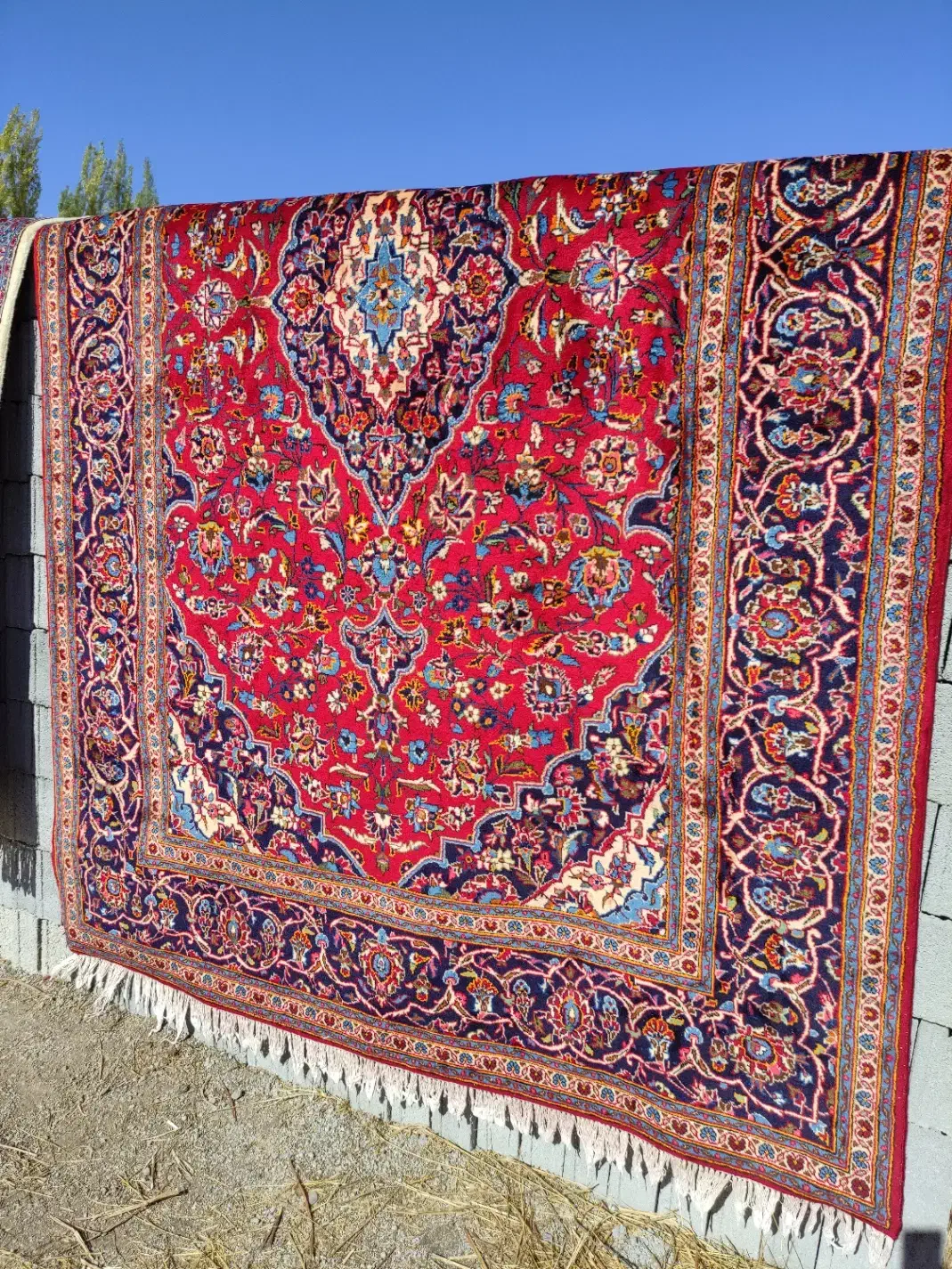 «قالیشویی پرشین خلخال»|خدمات نظافت|خلخال, |دیوار