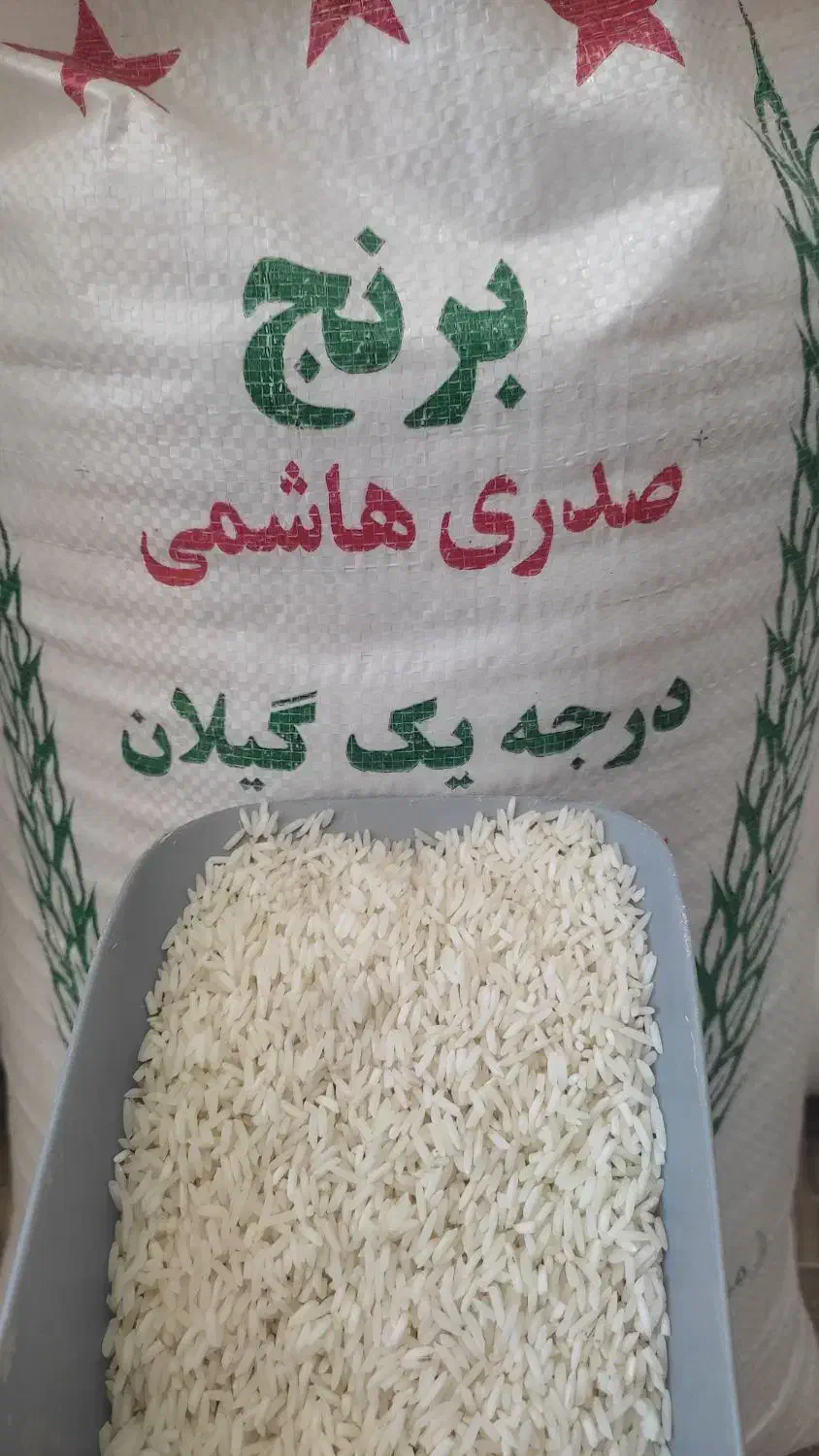 برنج فجروهاشمی تحفه ای از شالیزارهای گیلان تالش|عمدهفروشی|پرهسر, |دیوار