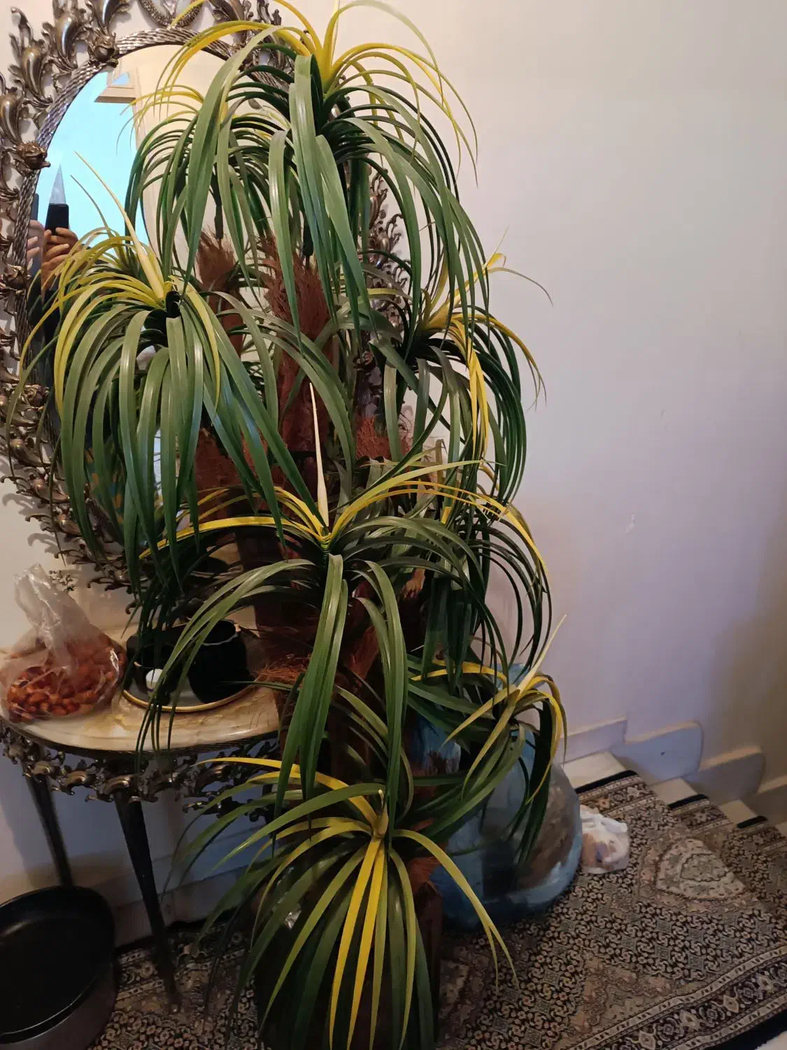 گلدان نخلی با گلدان سفالی|گل مصنوعی|تبریز, |دیوار