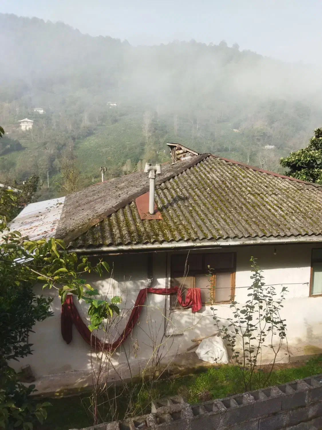 1300خانه محوطه سند تک برگ دل جنگهای هیرکانی|فروش خانه و ویلا|احمدسرگوراب, |دیوار