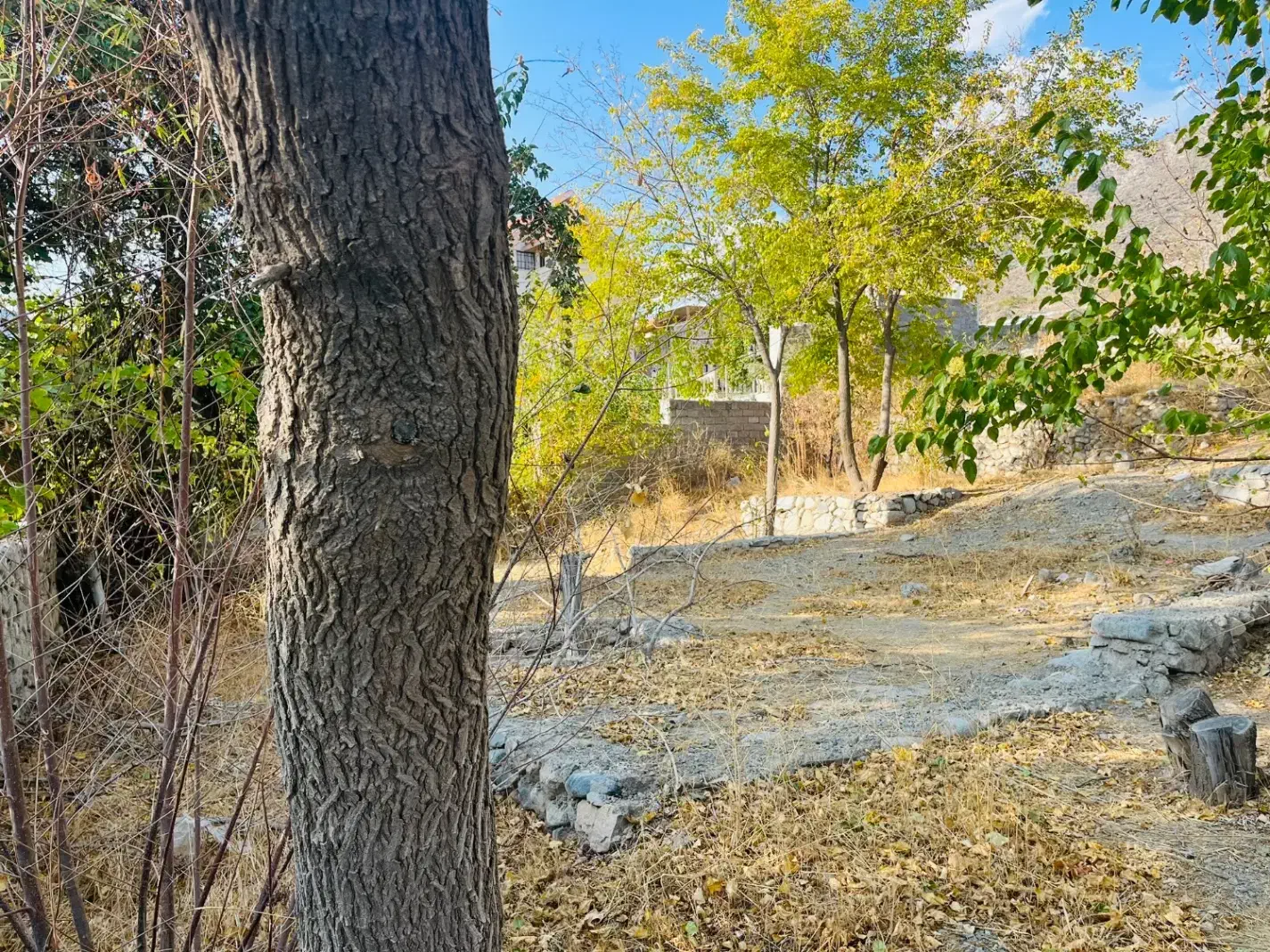 باغ و زمین ویلایی دلفارد|فروش زمین و ملک کلنگی|درب بهشت, |دیوار