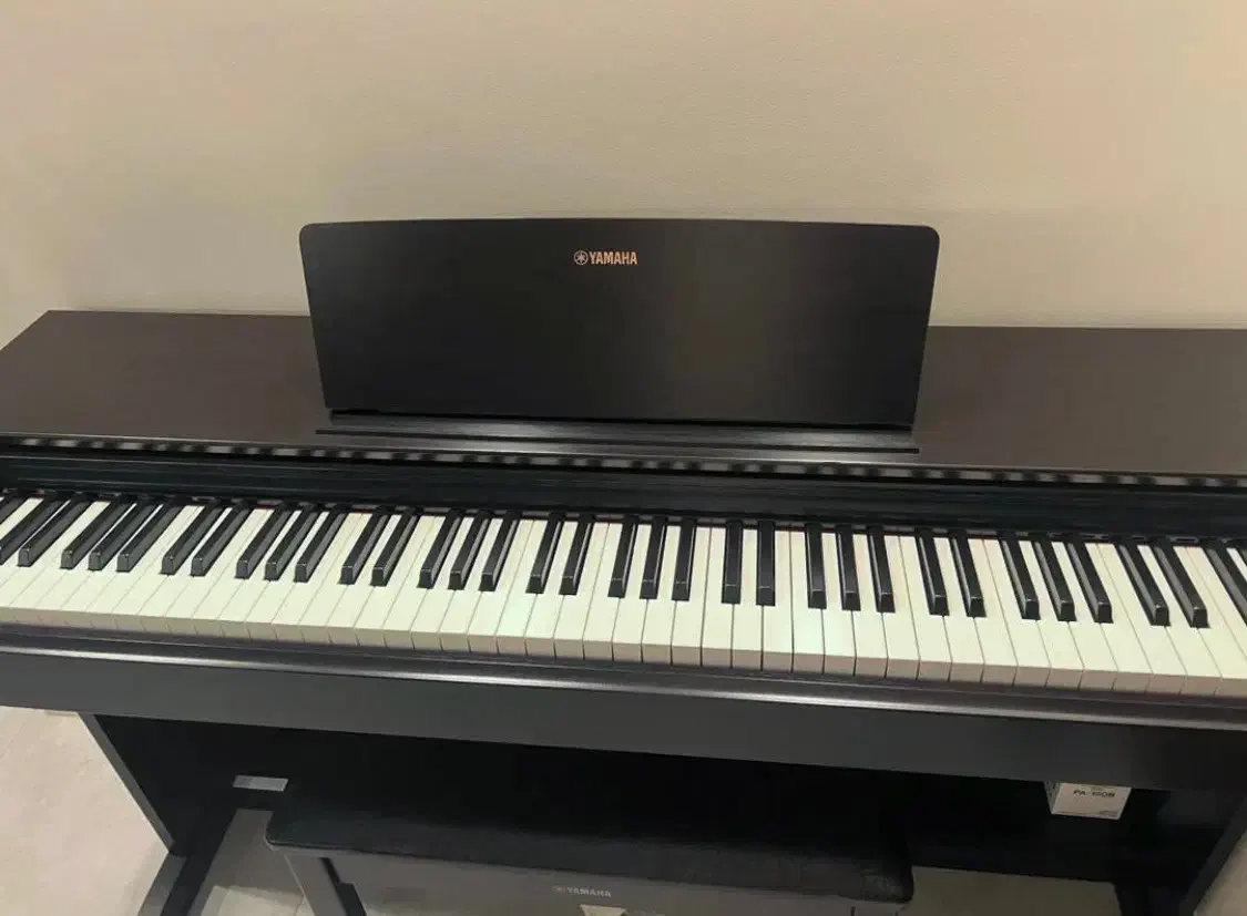 پیانو دیجیتال یاماها Ydp 144|پیانو، کیبورد، آکاردئون|قدس, شهر‌قدس|دیوار