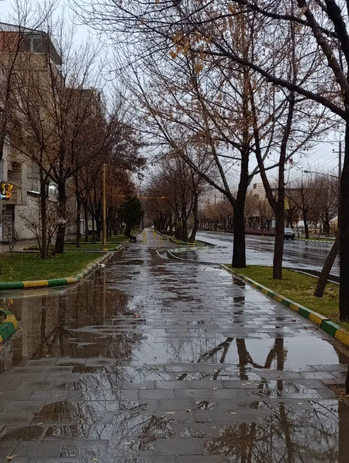 دریافت طلای به صورت رایگان|کارت هدیه و تخفیف|سقز, |دیوار