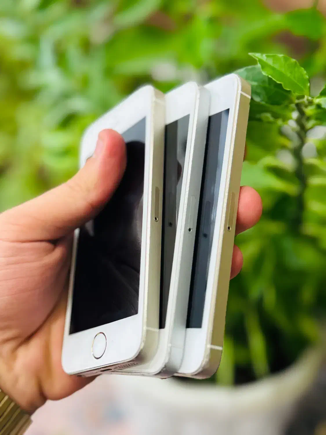 ایفون ۵s|موبایل|بانه, |دیوار