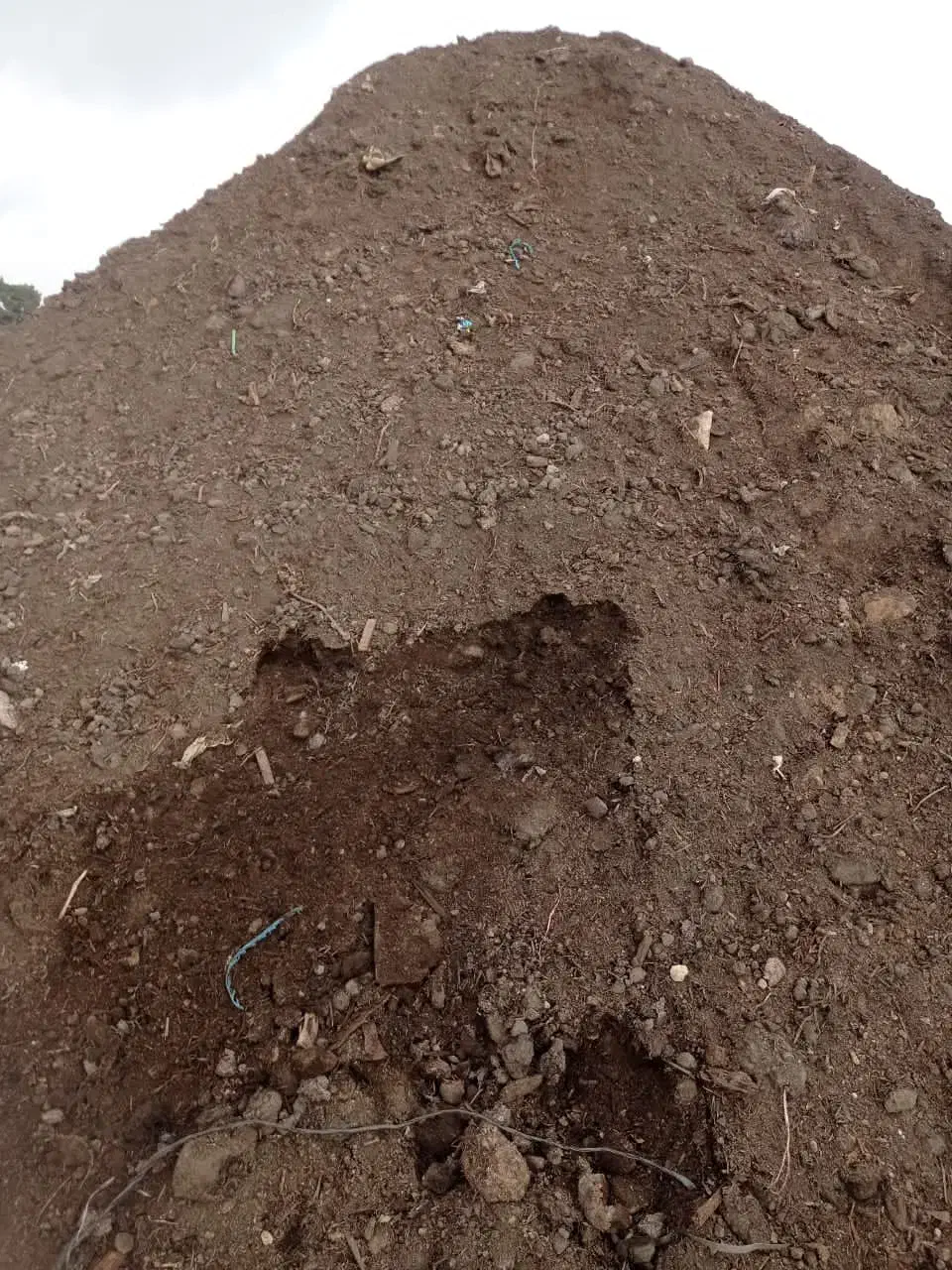 کود گاوی و گوسفندی کاملا پوسیده و خاک باغچه شهریار|گل و گیاه طبیعی|صباشهر, |دیوار