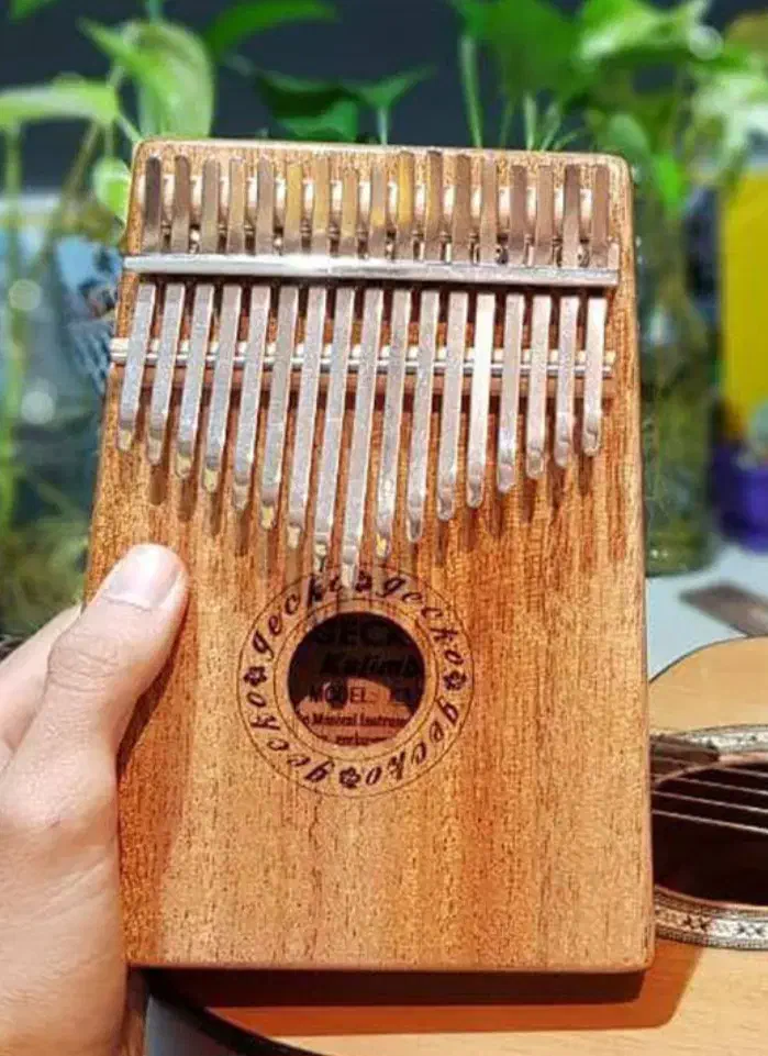 ساز کالیمبا|سازهای سنتی|قم, جهان بینی|دیوار