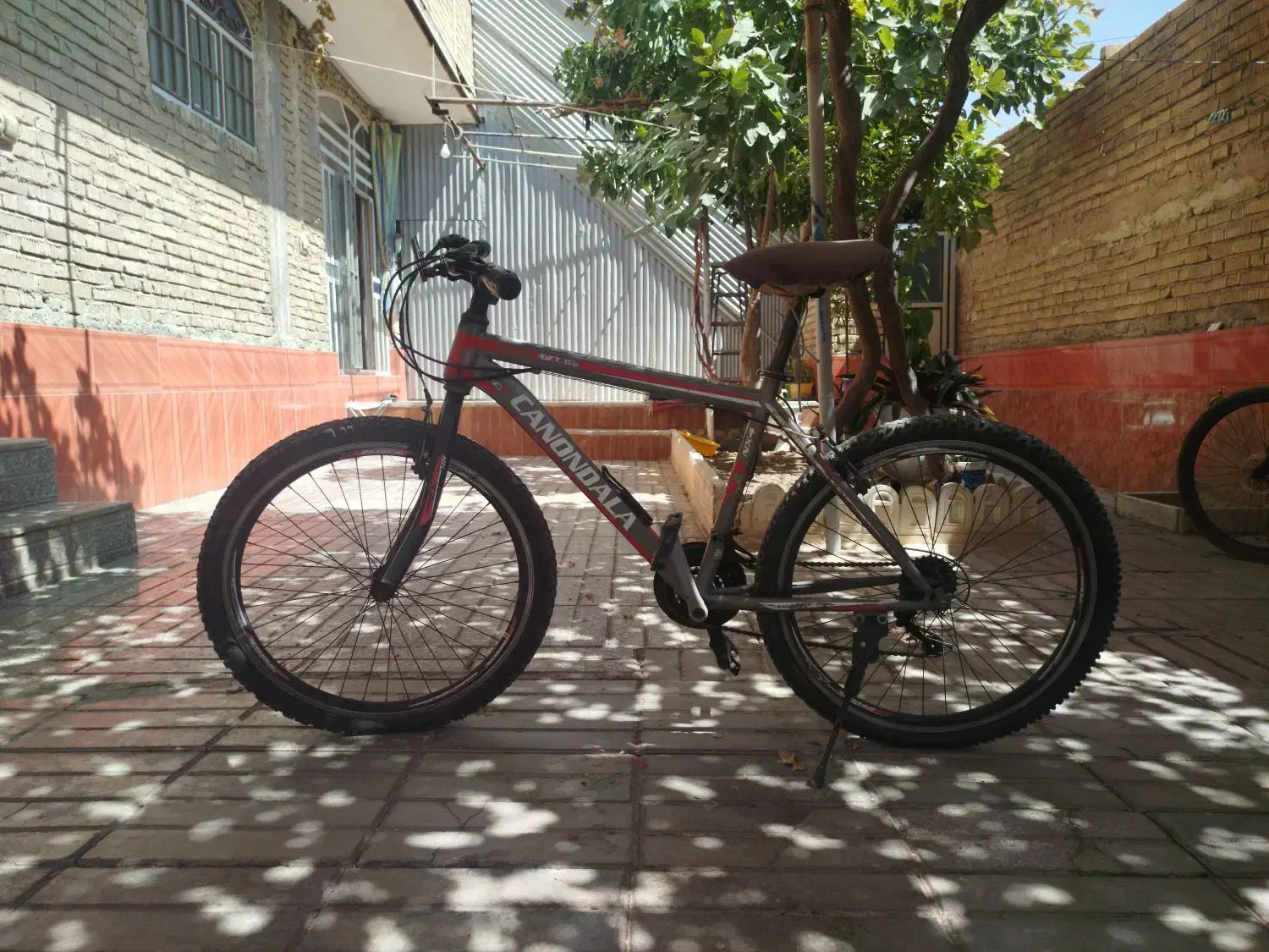 دوچرخه 26|دوچرخه، اسکیت، اسکوتر|مرودشت, علی‌آباد‎|دیوار