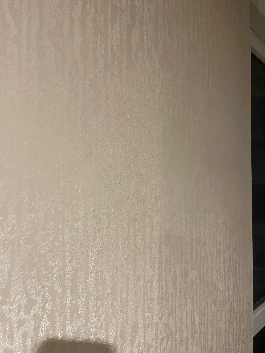 نظافت منزل|خدمات نظافت|تهران, تهرانسر غربی|دیوار