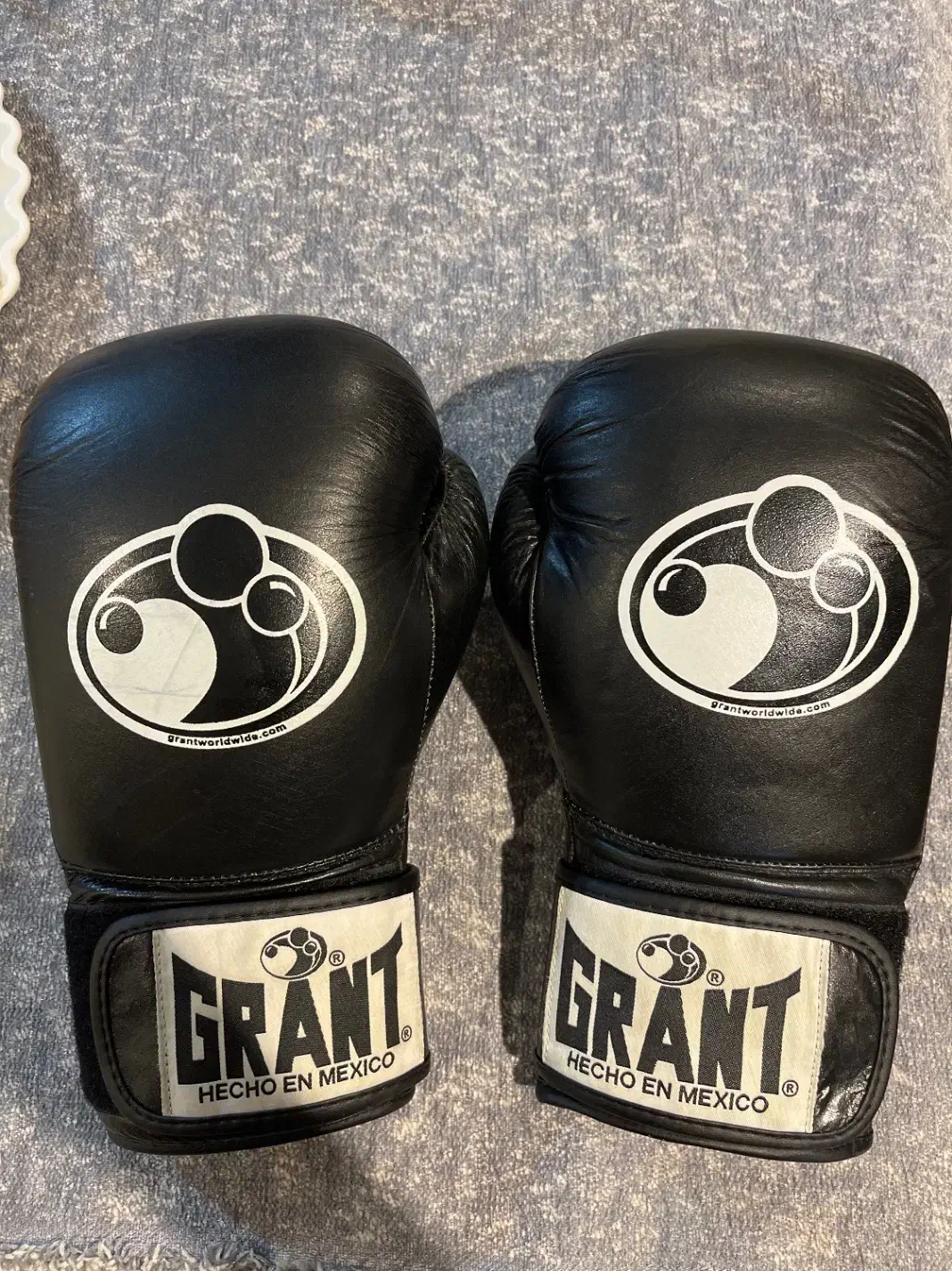 دستکش بوکس چرم|تجهیزات ورزشی|گنبد کاووس, |دیوار