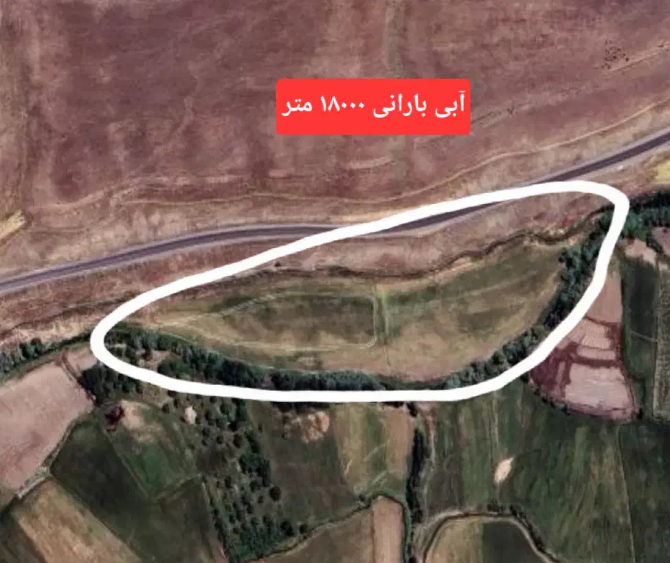 فروش زمین کشاورزی دیمی و آبی|فروش دفتر صنعتی، کشاورزی، تجاری|موچش, |دیوار