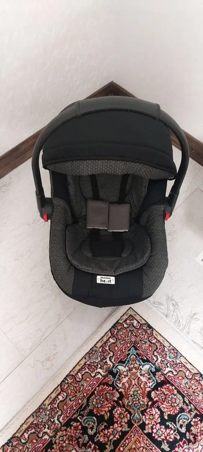 کریر و کالسکه دلیجان|کالسکه و لوازم جانبی|رباط‌کریم, رباط‌کریم|دیوار