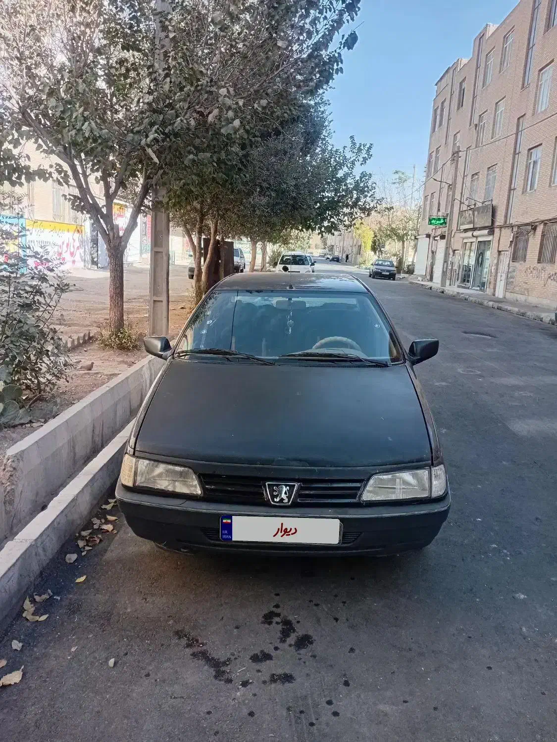 فروش پژو۴۰۵ مدل۸۳|خودرو سواری و وانت|پیشوا, |دیوار