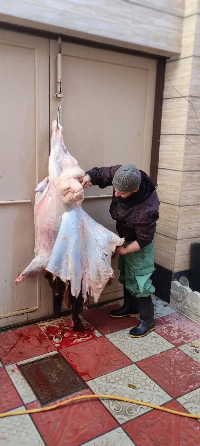 ذبح شرعی واسلامی|خدمات پذیرایی، مراسم|تبریز, |دیوار