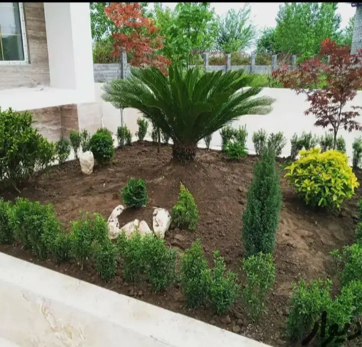 خدمات باغبانی از صفر تا صد در تمام نقاط تهران۰|خدمات باغبانی و درختکاری|تهران, ولنجک|دیوار