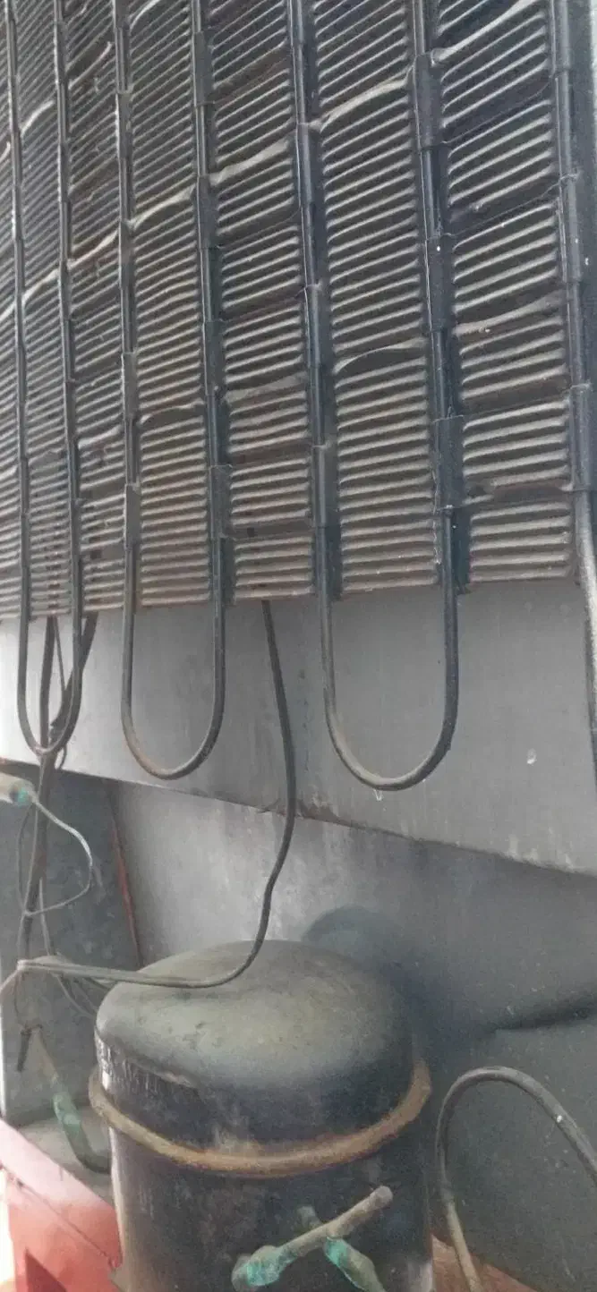 یخچال فریزر و اجاق گاز فر|یخچال و فریزر|شیروان (خراسان), |دیوار